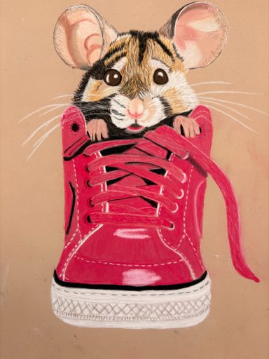 i can see you Pastel Hamster in shoe
