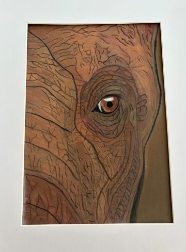 Nelly the Elephant For sale